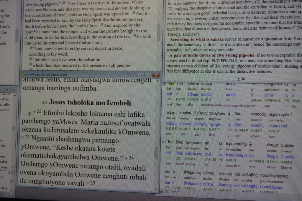 Raamatunkäännösohjelman ruudulla on raamatunkohtia eri kielillä.