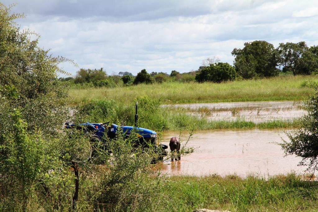 Poikkeuksellisen pitkä sadekausi aiheutti tulvia Morogoron seudulla Tansaniassa viime keväänä. Satojen ja kotien tuhoutuminen vaikeuttaa ihmisten elämää edelleen. Kuva Katri Kuusikallio