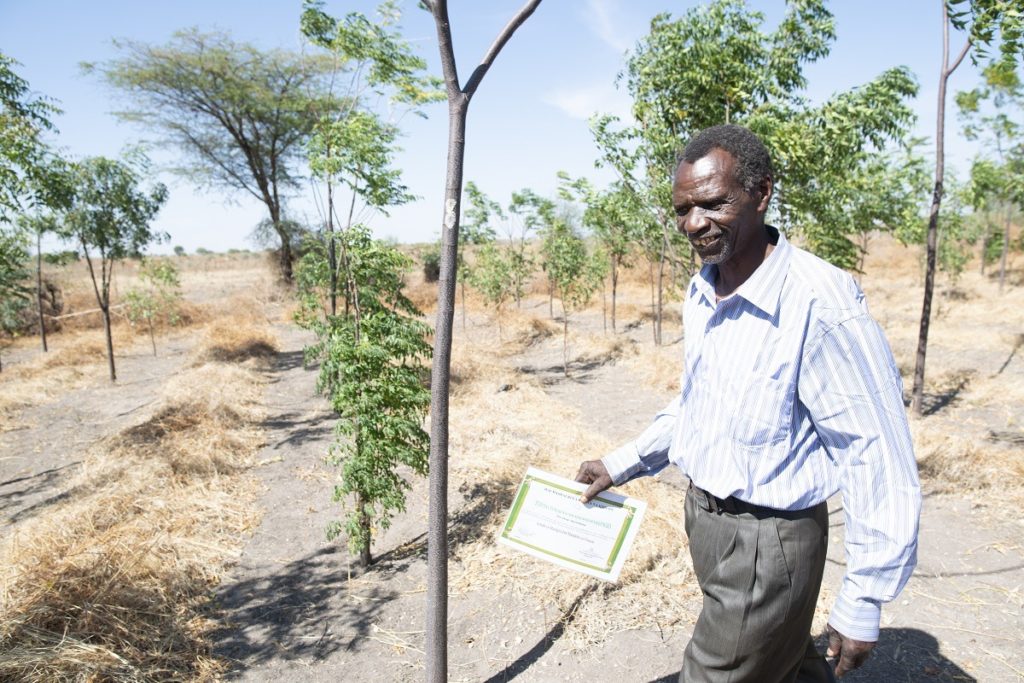Tansanialainen Petro seisoo keskellä istuttamiaan puita. 