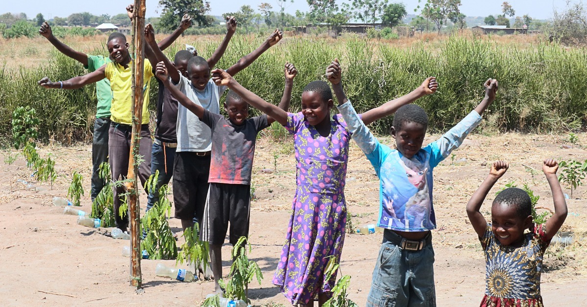 lapsia seisoo puuntaimien vieressä hymyillen ja kädet ylös tuuletukseen nostettuna
