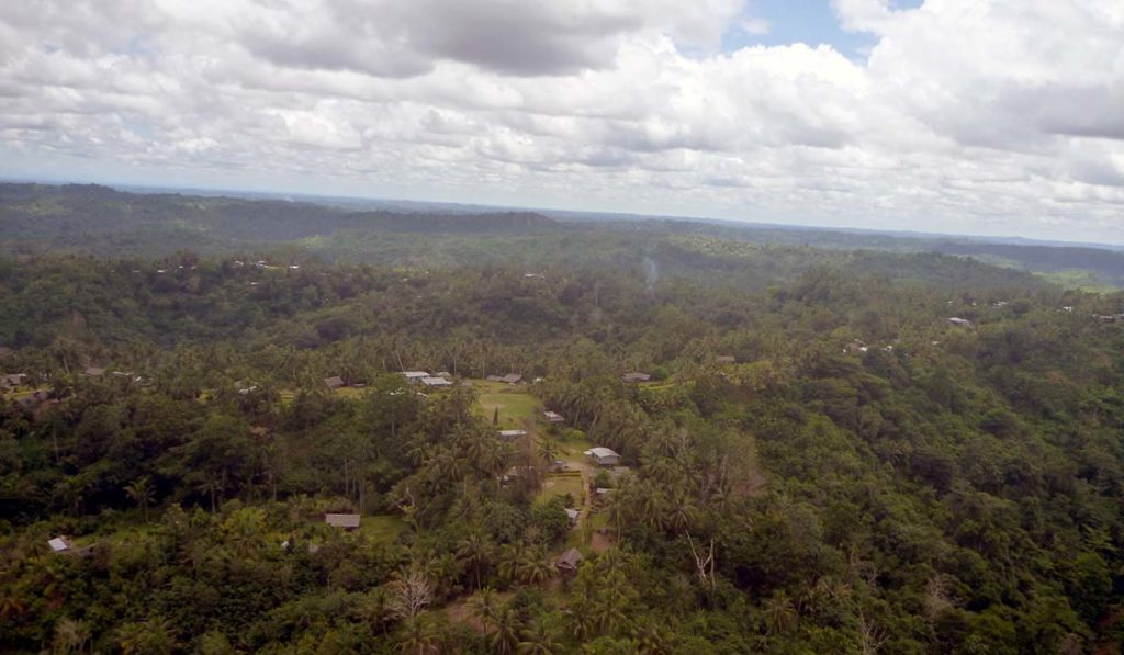 Kuva trooppisesta metsästä, jonka seassa näkyy taloja.