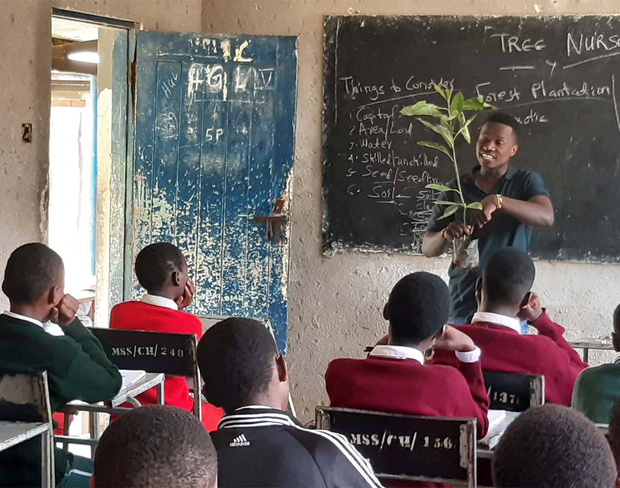 Tansanialaisessa koululuokassa opettaja esittelee luokan edessä oppilaille paikallisia kasvilajeja.
