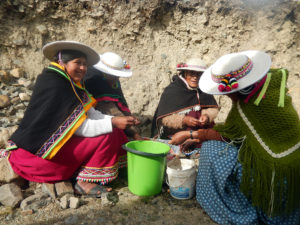 Neljä bolibialaisnaista kuorimassa perunoita ämpärin ympärillä jakkaroilla istuen.