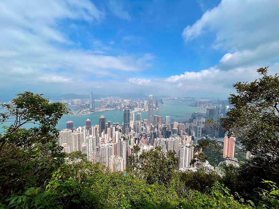 Vihreät pensaat ja puut etualalla, Hongkongin pilvenpiirtäjät, merta ja kirkas taivas.