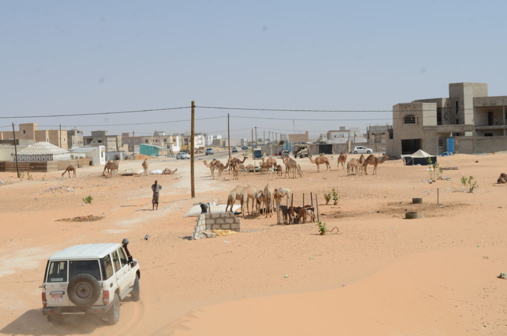 Autiomaata ja alkavaa asutusta. Kuvassa näkyy mm. kameleita, telttamaisia rakennuksia sekä taloja. Etualalla on valkoinen maastoauto.