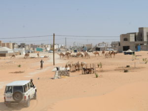 Autiomaata ja alkavaa asutusta. Kuvassa näkyy mm. kameleita, telttamaisia rakennuksia sekä taloja. Etualalla on valkoinen maastoauto.