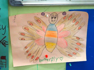 Kuvassa on värikäs piirretty perhonen.