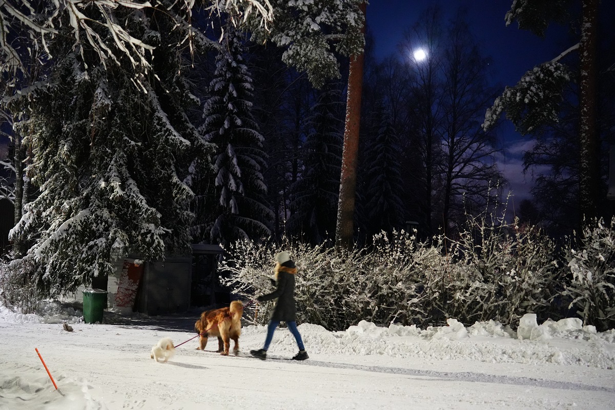 Nainen kävelee tietä kahden koiran kanssa pimeässä ja lumisessa maisemassa.