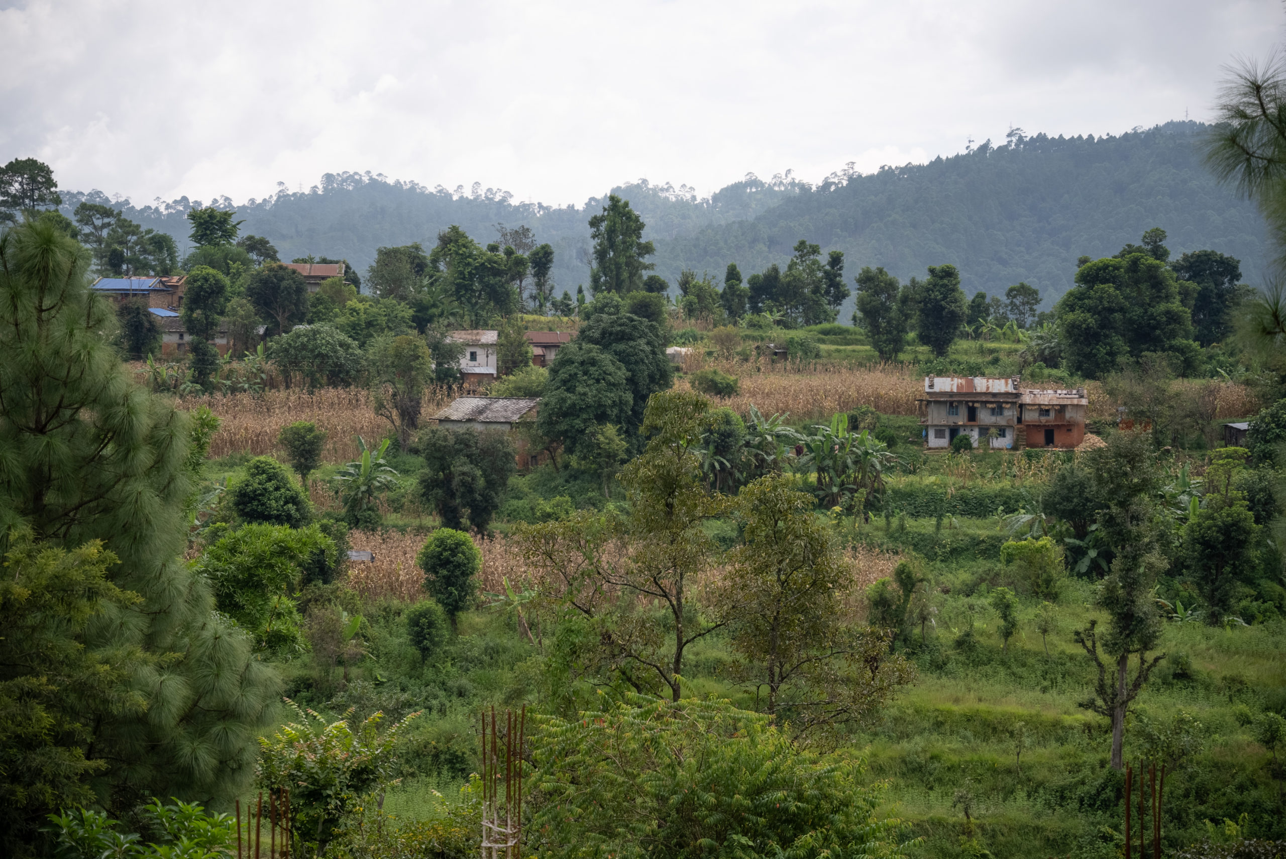 Maaseutumaisema Nepalissa: pieniä taloja, puita ja peltoa.