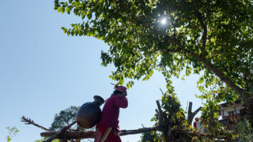 Thumri Nepal kantaa vettä isolla kannulla selässään, henkilö on kuvattu sivusta, takana sininen taivas ja vihreän puun oksia yläpuolella