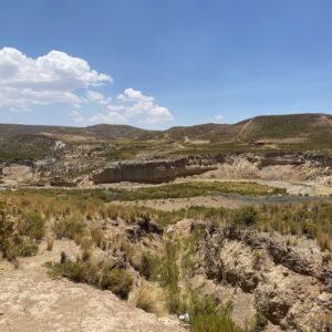 maisema Boliviasta, jossa on paljon kuivaa hiekkamaata sekä hieman vihreää kasvustoa